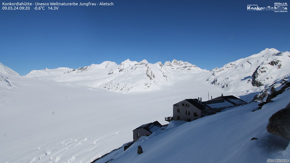 Aletsch Glacier webcam - Konkordiahuette 2.850