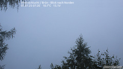 Rheinschlucht - Brün