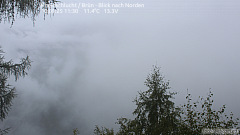 Rheinschlucht - Brün