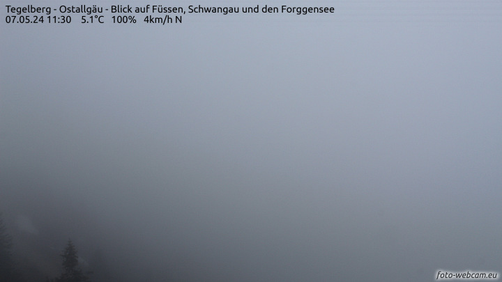 Webcam Füssen - Forggensee - W